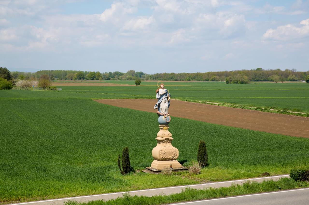 Schoener Wohnen Friesenheim  Exteriör bild