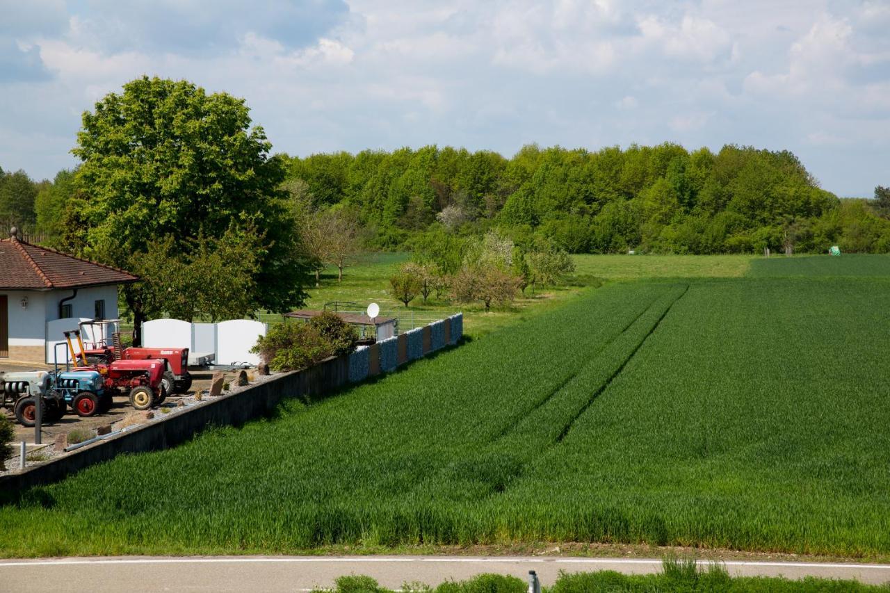 Schoener Wohnen Friesenheim  Exteriör bild