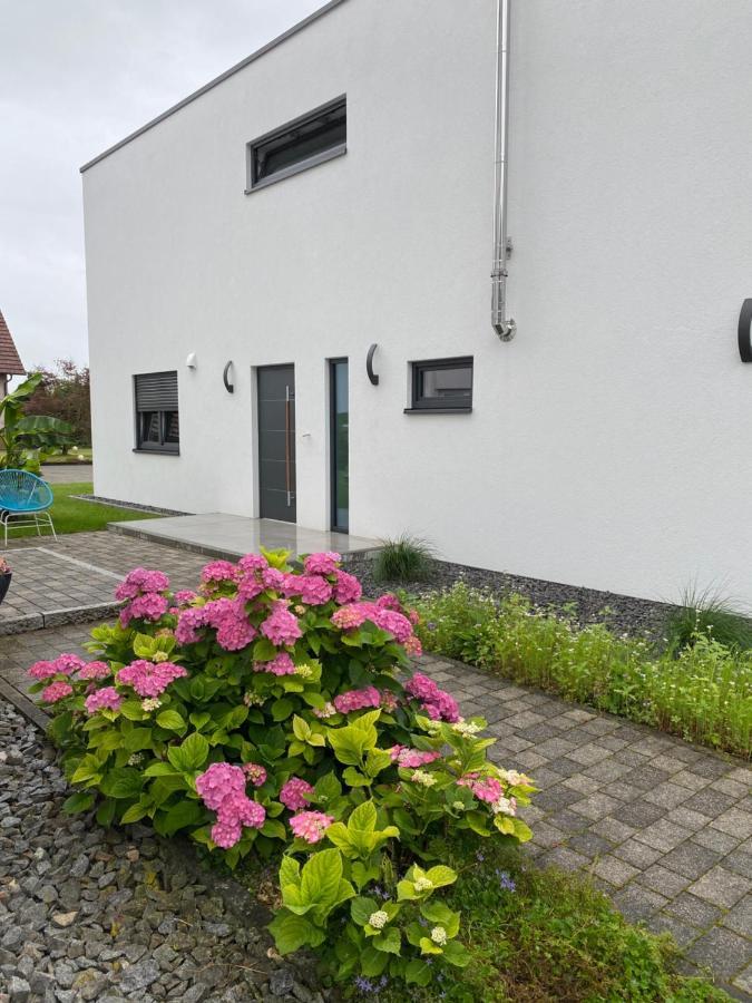 Schoener Wohnen Friesenheim  Exteriör bild